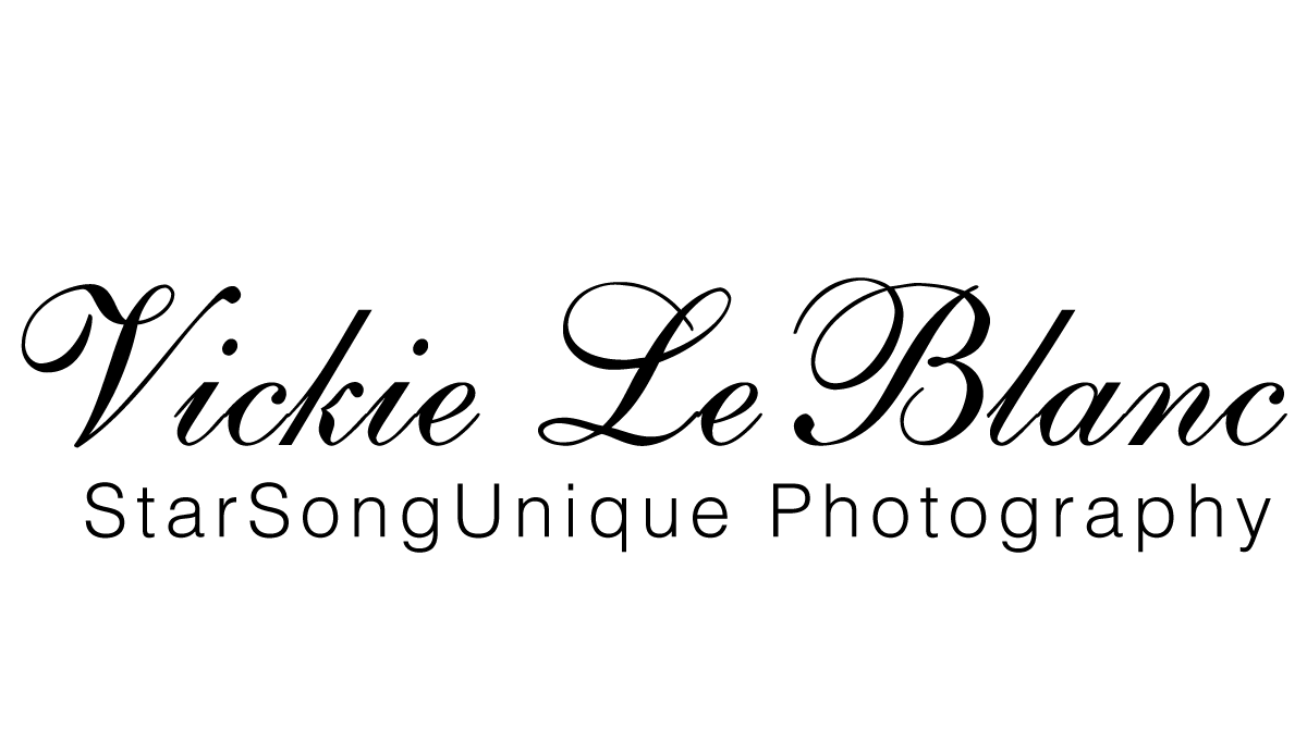 Quiltstar logo